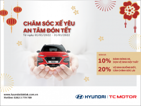 CHĂM SÓC XẾ YÊU – AN TÂM ĐÓN TẾT